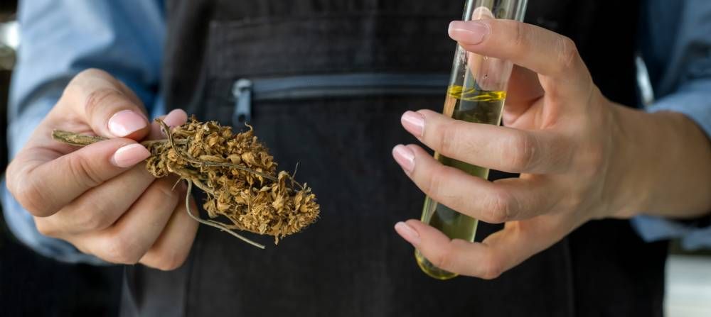 cadre légal CBD en France